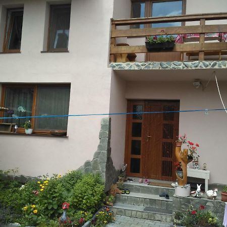 Casa Teo Hotel Vízakna Kültér fotó