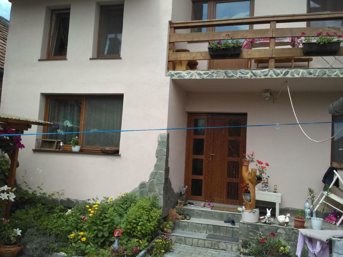 Casa Teo Hotel Vízakna Kültér fotó
